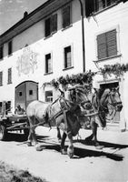 NEUNKIRCH SH PFADFINDERINNEN 1950