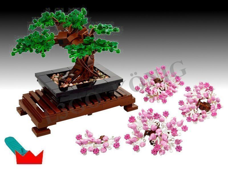 Lego Kit di costruzioni: LEGO 10281 Bonsai Baum – Nuovo e nell'imballaggio originale da Wetzikon ZH venduto da LegoKoenig
