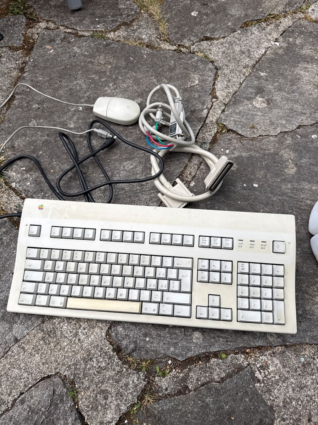 Apple Tastaturen: Clavier Vintage Apple – Gebraucht aus St imier von sav_bjf9