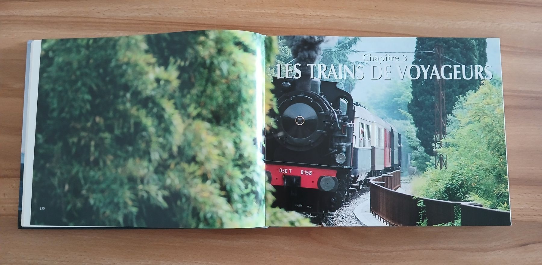 Libri: Le livre d'or des Trains – Usato da Le Sentier venduto da arc_2thy 5