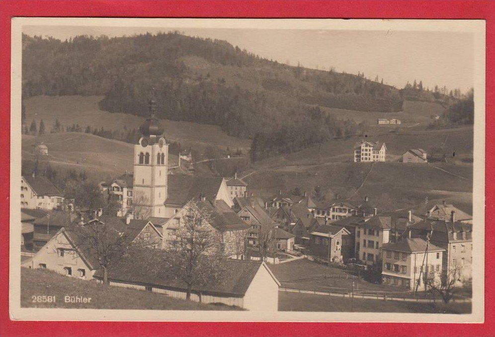 Cartoline postali: BÜHLER 1931 – Usato da Grüningen venduto da Kartenlaube