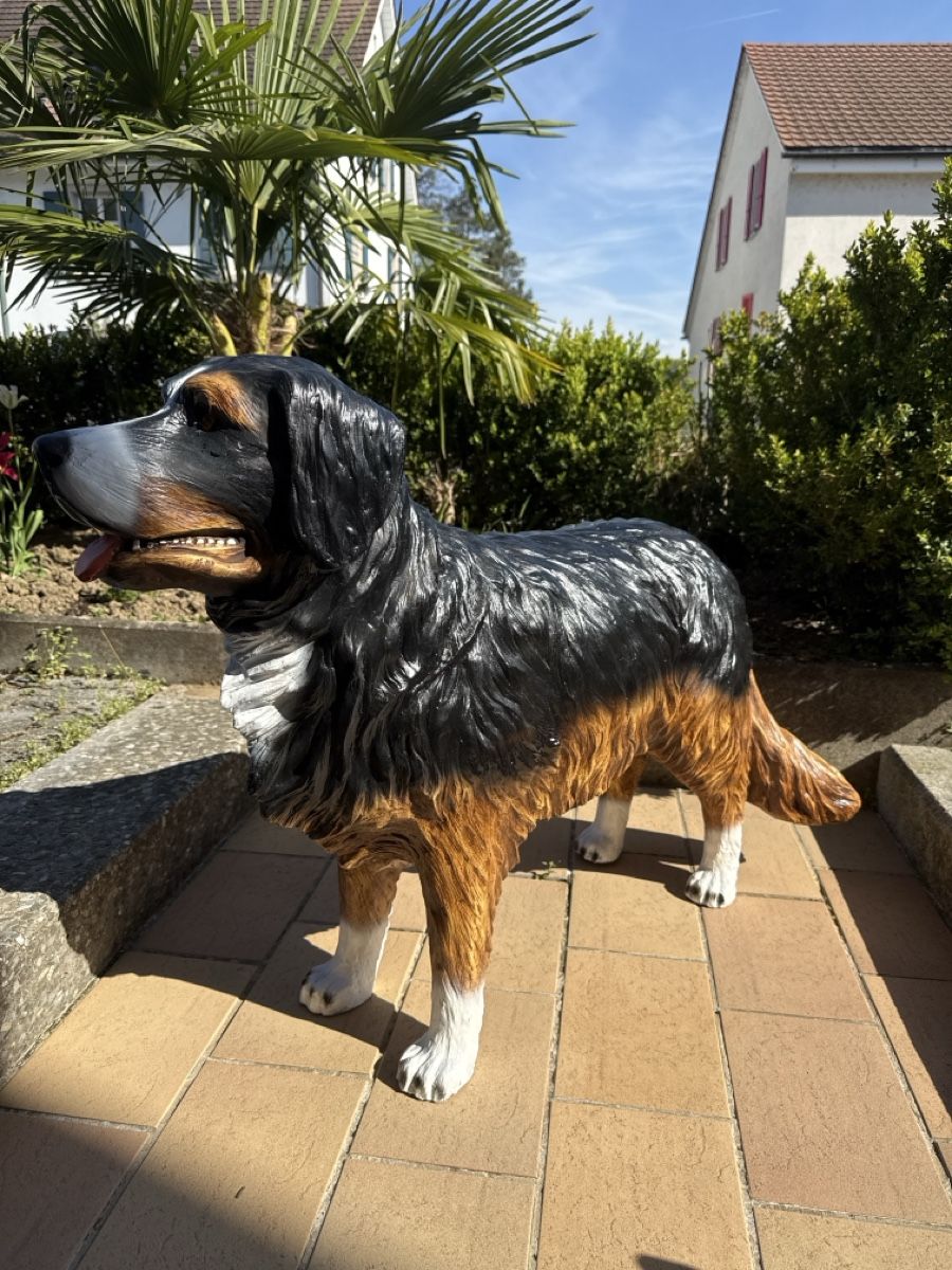 Statuette: Berner Sennenhund, Garten Deko,NEU! – Nuovo e nell'imballaggio originale da Zwingen venduto da Eiphone 3