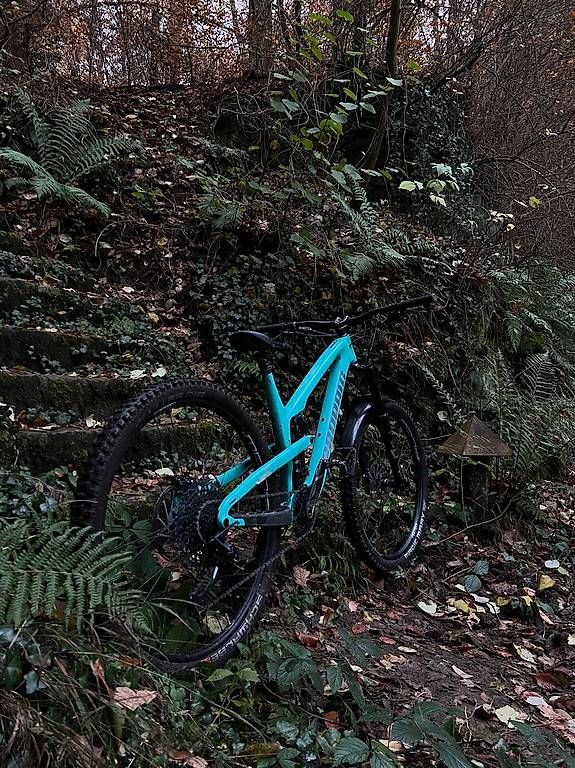 Biciclette: PROPAIN TYEE 29 L – Usato da Carouge GE venduto da goi_vw9w 1