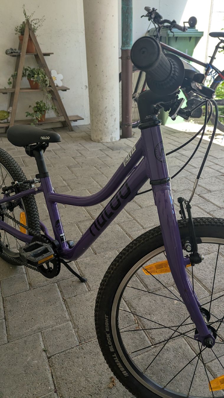 Naloo Biciclette: Naloo 20 Zoll – Usato da Rüti ZH venduto da S_Like 5