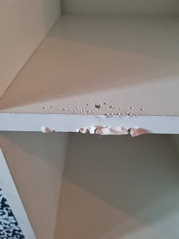 Ikea Regale: Ikea Mobel – Gebraucht aus Zürich von chlaus07 1