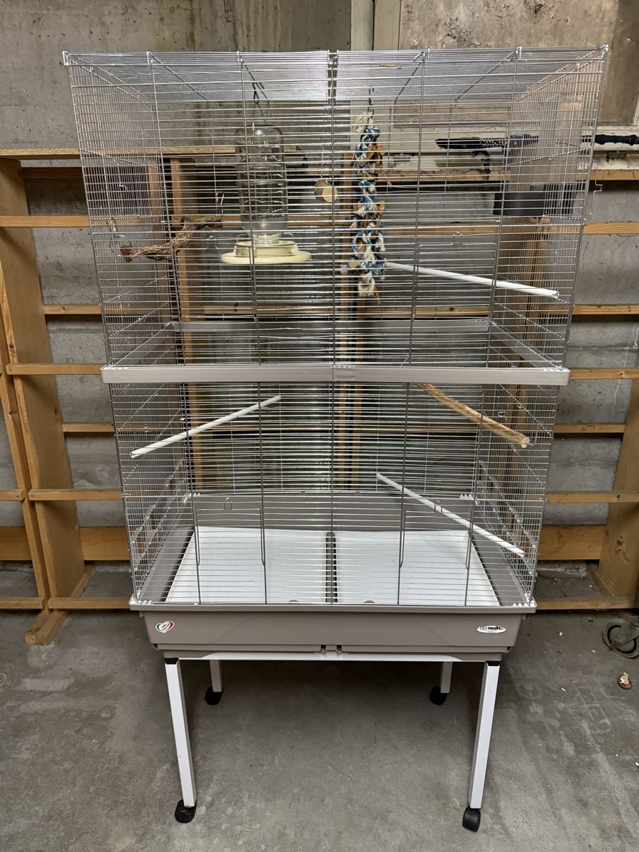 Gabbie, trasporto & Sicurezza: Cage à oiseaux grande taille avec accessoires bon état – Usato da Pully venduto da UCA01 1