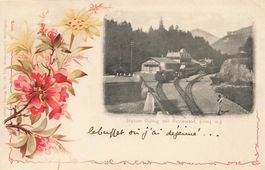 Alte Ansichtskarte Brünig mit Restaurant 1004 m. Meyringen