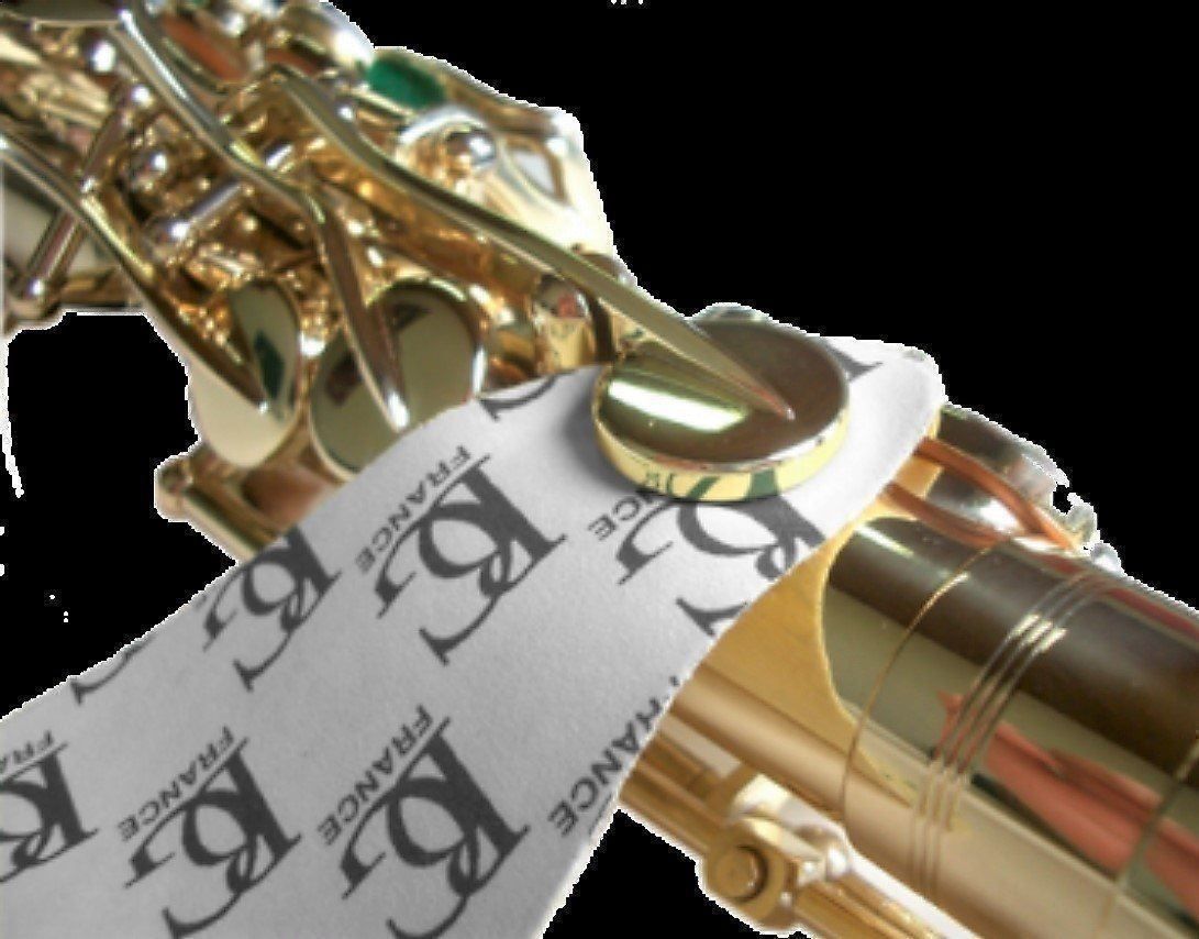 Strumenti musicali: BG ProPack+ Altsaxophon Pflegemittel-Set – Nuovo e nell'imballaggio originale da Rotkreuz venduto da CLASAX 8