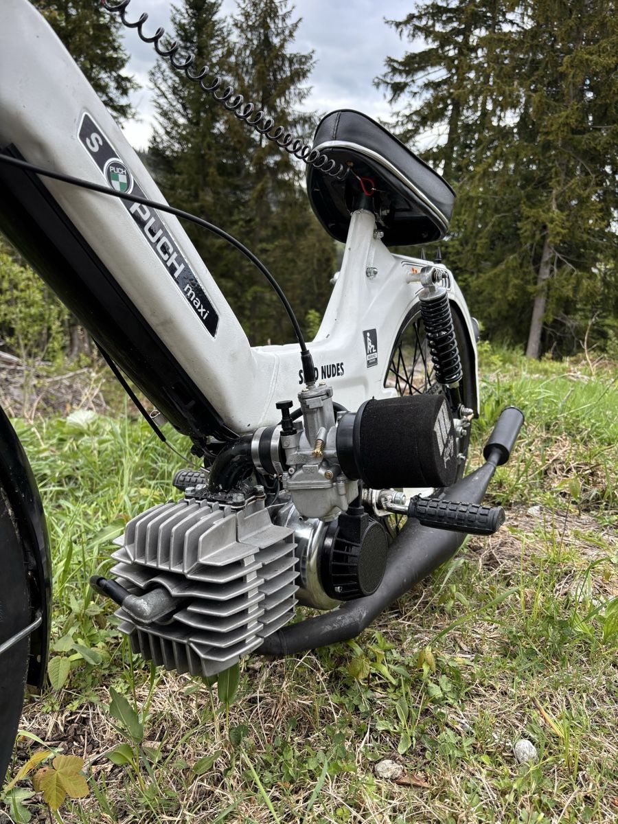 Puch Ciclomotori: Puch Maxi S – Nuovo (secondo la descrizione) da Schüpfheim venduto da dapistel 4
