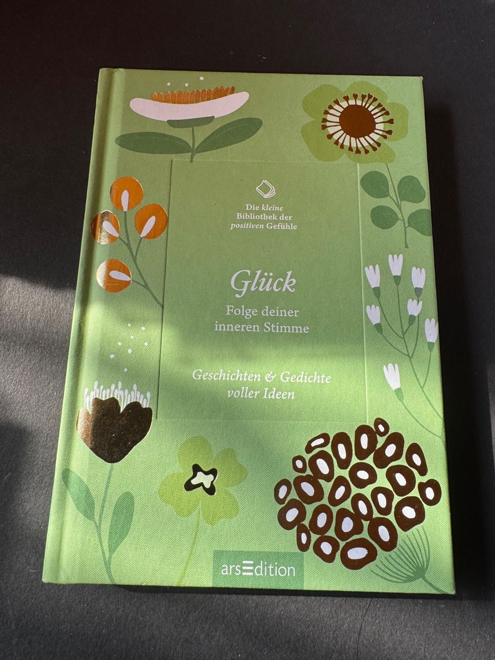 Livres: Glück: Geschichten & Gedichte voller Ideen – Neuf (Voir description) à Hägendorf par bri_v995