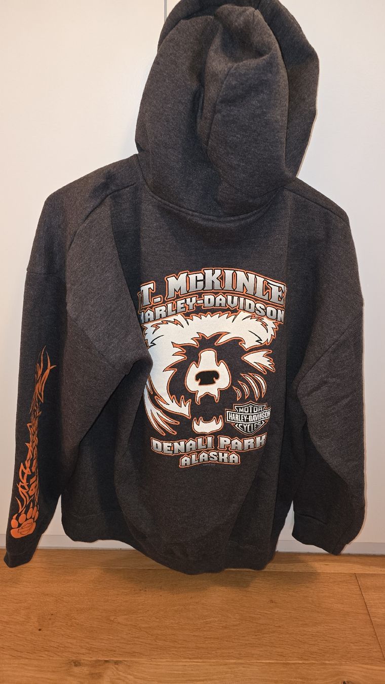 Maglioni & Felpe: Jaquette Harley Davidson grise L – Usato da Champlan venduto da Sgosteli 2