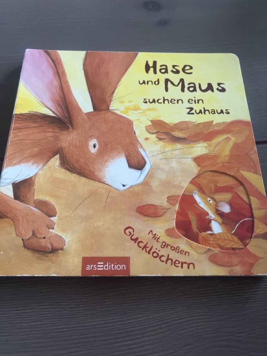 Libri: Hase und Maus suchen ein Zuhause  – Usato da Seon venduto da Sunny-Schmuck78