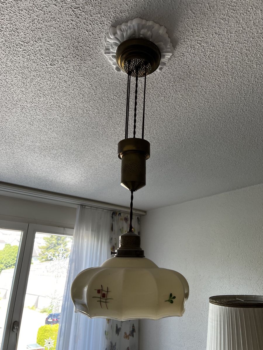 Lustres & lampes de plafonds: Hängelampe Messing Milchglas mit Blumenmuster gebraucht – D'occasion à Neuenegg par Magosaurus 1