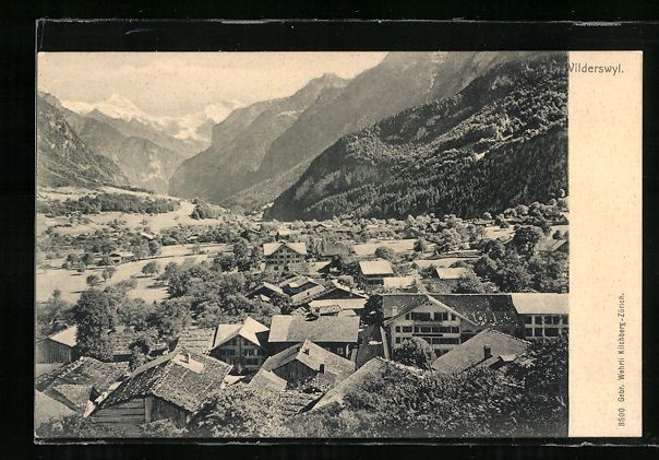 Ansichtskarten: AK Wilderswil, Teilansicht mit Bergen – Gebraucht aus Berlin von bartko-reher