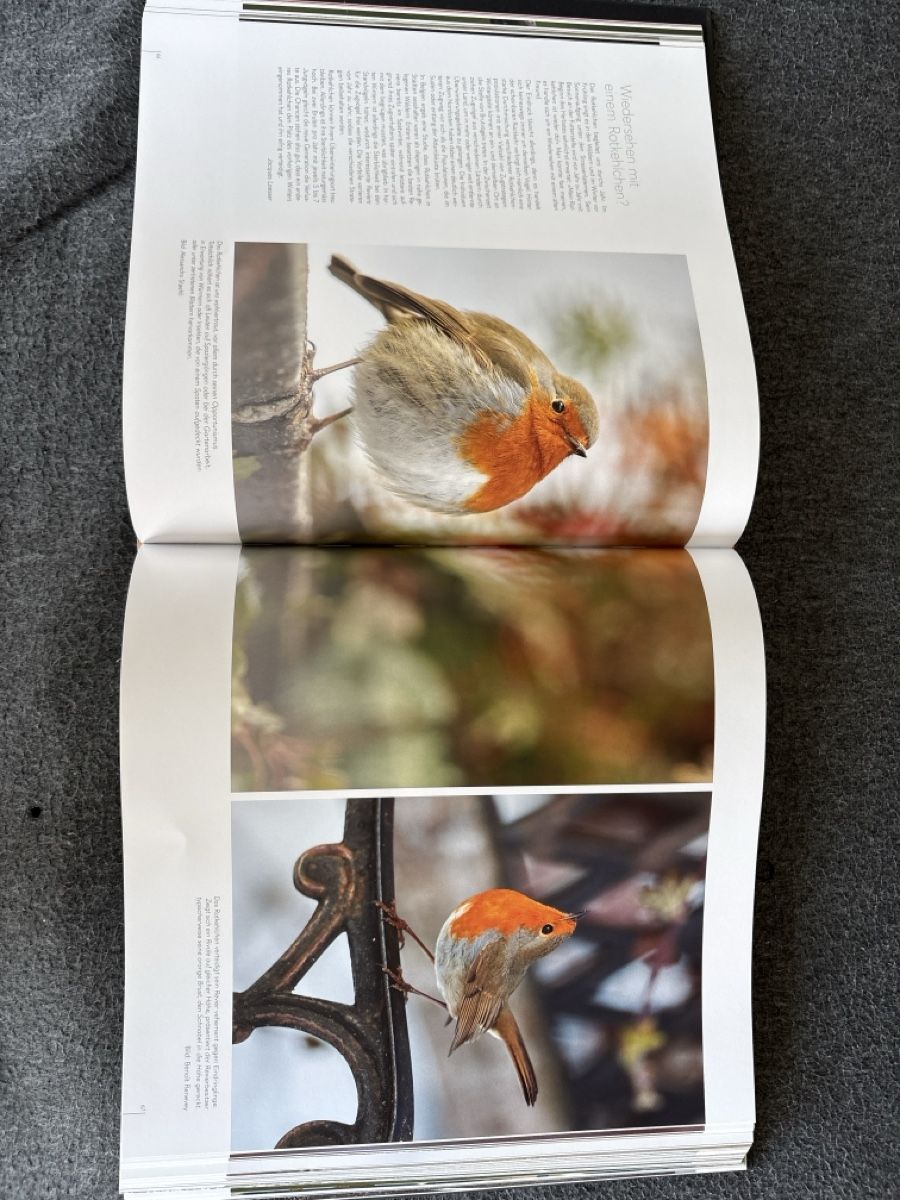 Livres: Fabelhafte Vogelwelt Buch gute Zustand – D'occasion à Zürich par Nonas1996 2