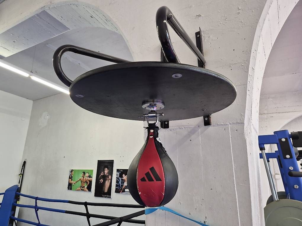 Sacchi da boxe: Boxbirne mit Aufhängung – Usato da bronschhofen venduto da Prolf