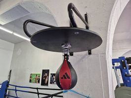 Boxbirne mit Aufhängung