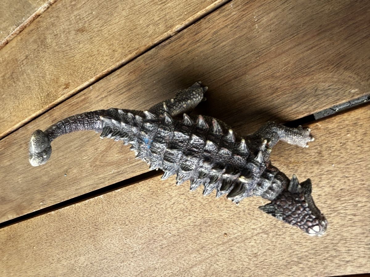 Schleich Giocattoli: Dinosaurier Figuren Set Schleich – Usato da Nussbaumen AG venduto da huanglong 2