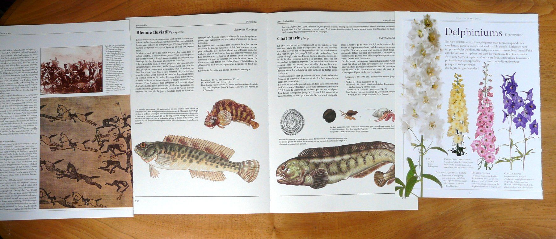 Libri: ephemera 6/papier collage bastelpapier scrapbooking +Versand – Usato da Pully venduto da websurfer1 2
