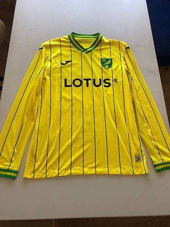 Joma Trikot Norwich City 22/23 Pukki Gr.L