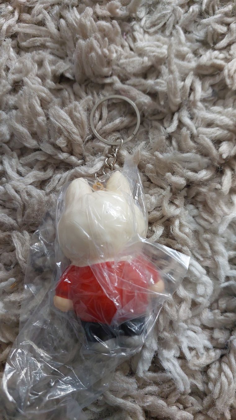 Portachiavi: Niedlicher Labubu Squishy Anhänger – Nuovo e nell'imballaggio originale da Hittnau venduto da Razorback_1971 1
