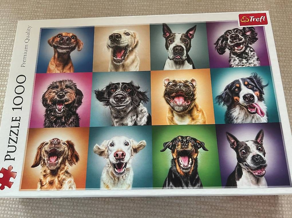 Puzzle: Puzzle lustige Hunde – Usato da Adlikon b.Regensdf venduto da Benutzername015