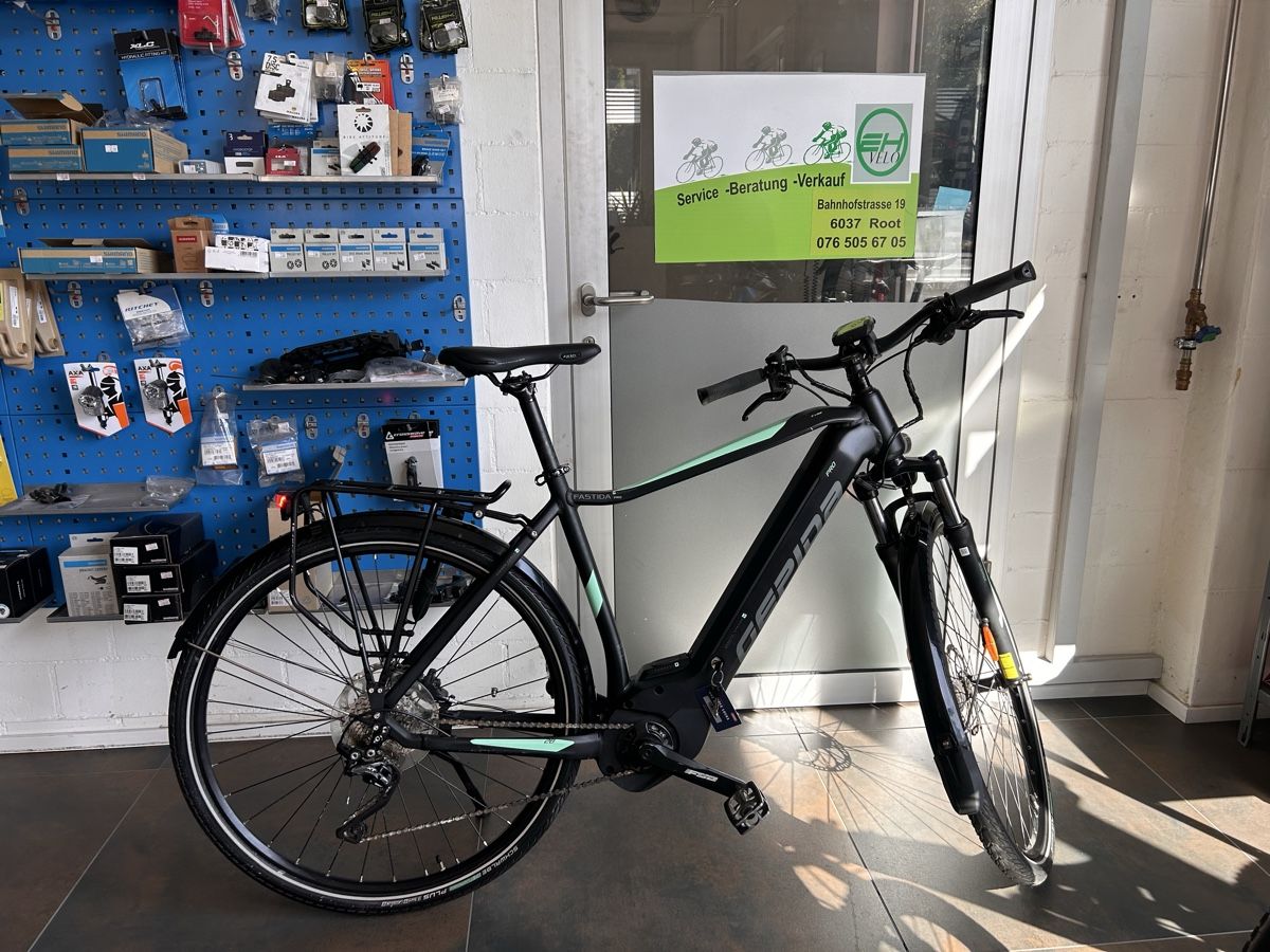 Velos: Gepida Fastida PRO - E-Bike 45km/h – Gebraucht aus Root von Sajo_04 5