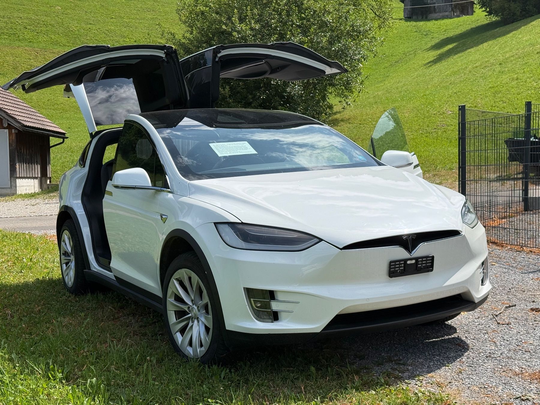 Tesla Automobili: TESLA Model X 100D – Usato da Ebnat-Kappel venduto da anitasteiner 1