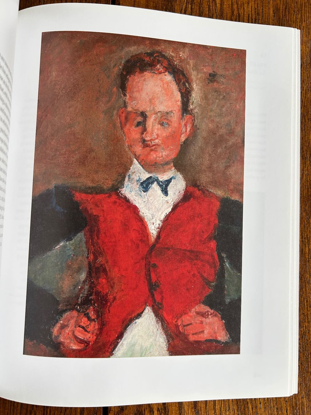 Libri: Soutine's Portraits - Cooks, Waiters & Bellboys – Usato da Basel venduto da Peter_schlemihl 7