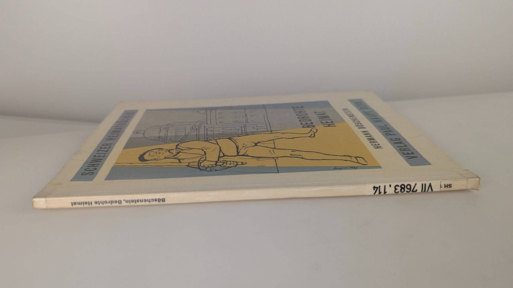 Libri: Schweizer Heimatbücher: Bedrohte Heimat 1963 – Usato da Zürich venduto da axolottchen 1