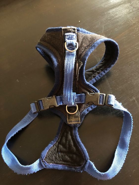 ANCOL Mesh Hunde Brustgeschirr Hi Viz – Reflektierend, Atmungsaktiv, Verstellbar – Größen XS Bis L