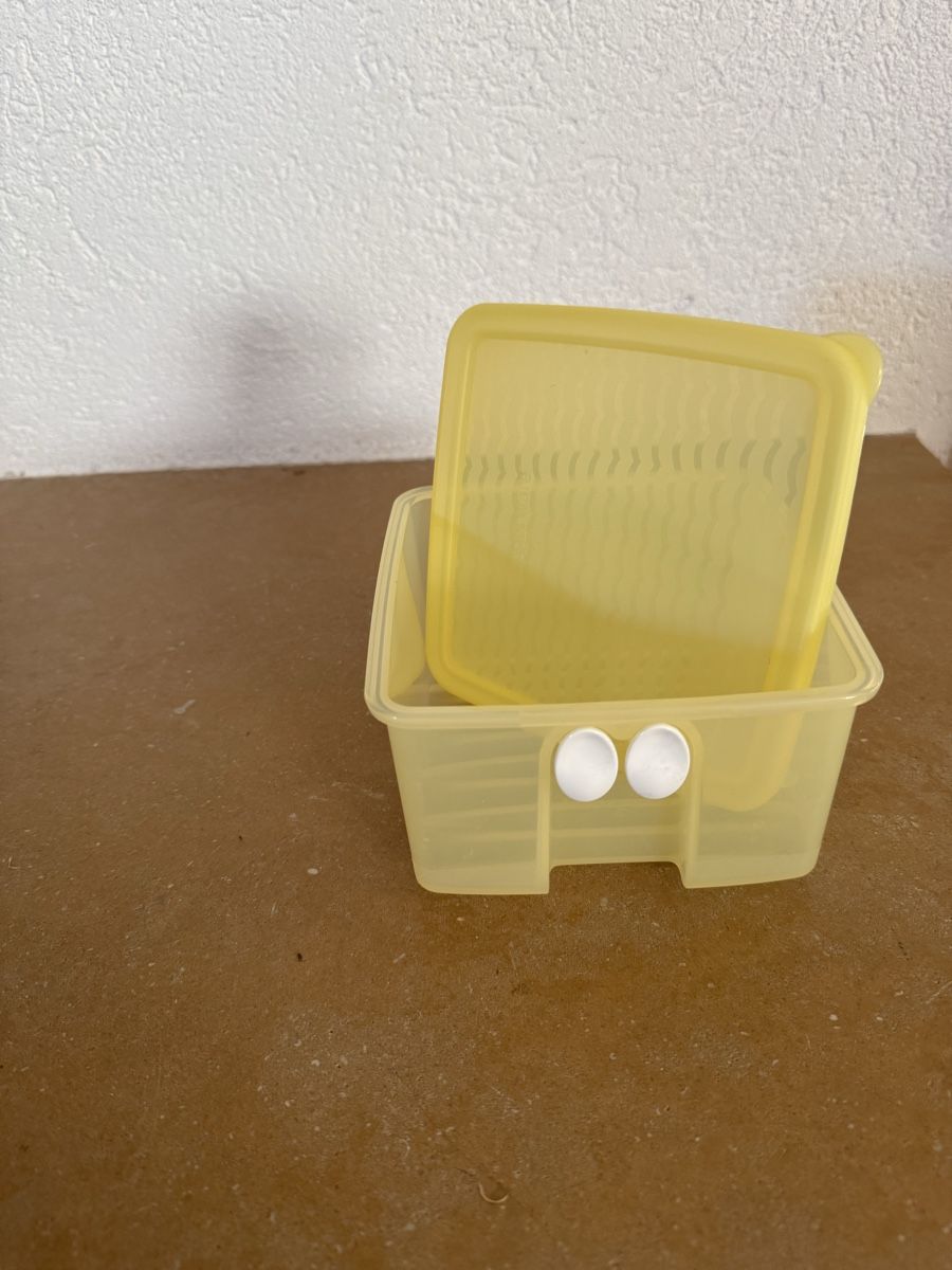 Tupperware Contenitori & Simili: FridgeSmart Tupperware – Nuovo (secondo la descrizione) da Montsevelier venduto da ber_88db 1
