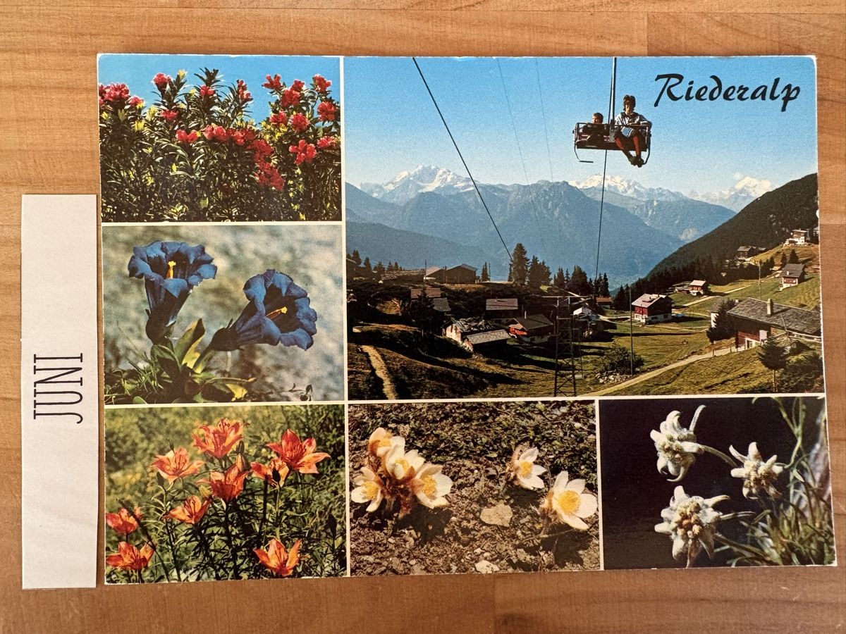 Ansichtskarten: AK von Riederalp – Gebraucht aus Rümlang von Kartenpost1