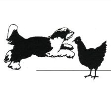 Profile image of Huehnerhund