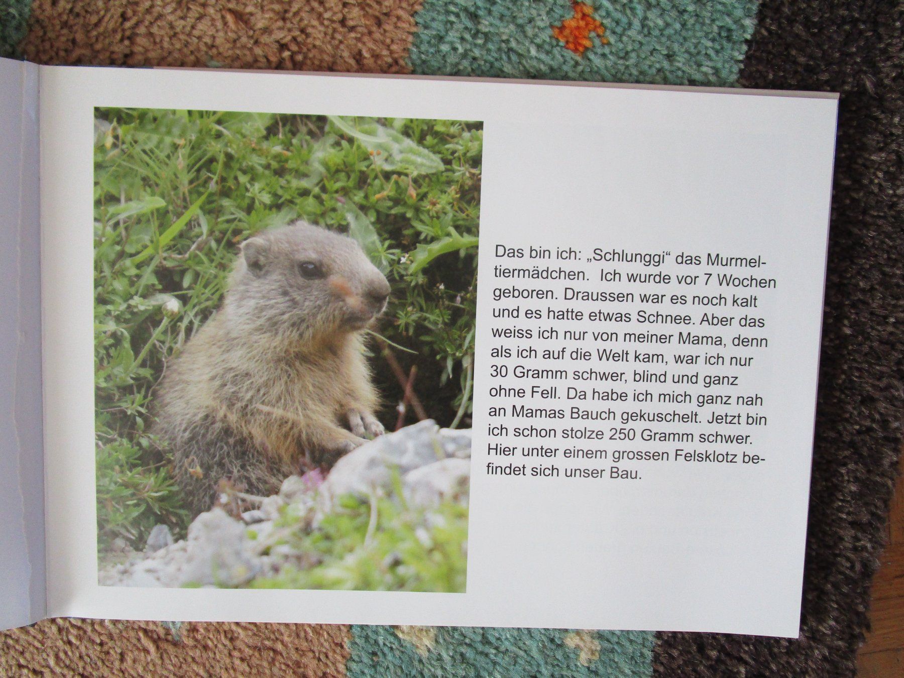 Libri: Schlunggi auf Entdeckungsreise, Kinderbuch – Usato da Scuol venduto da Luana.. 3