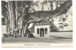 Bremgarten (AG) Einsiedelei Emaus - Mönch - Linde - 1913