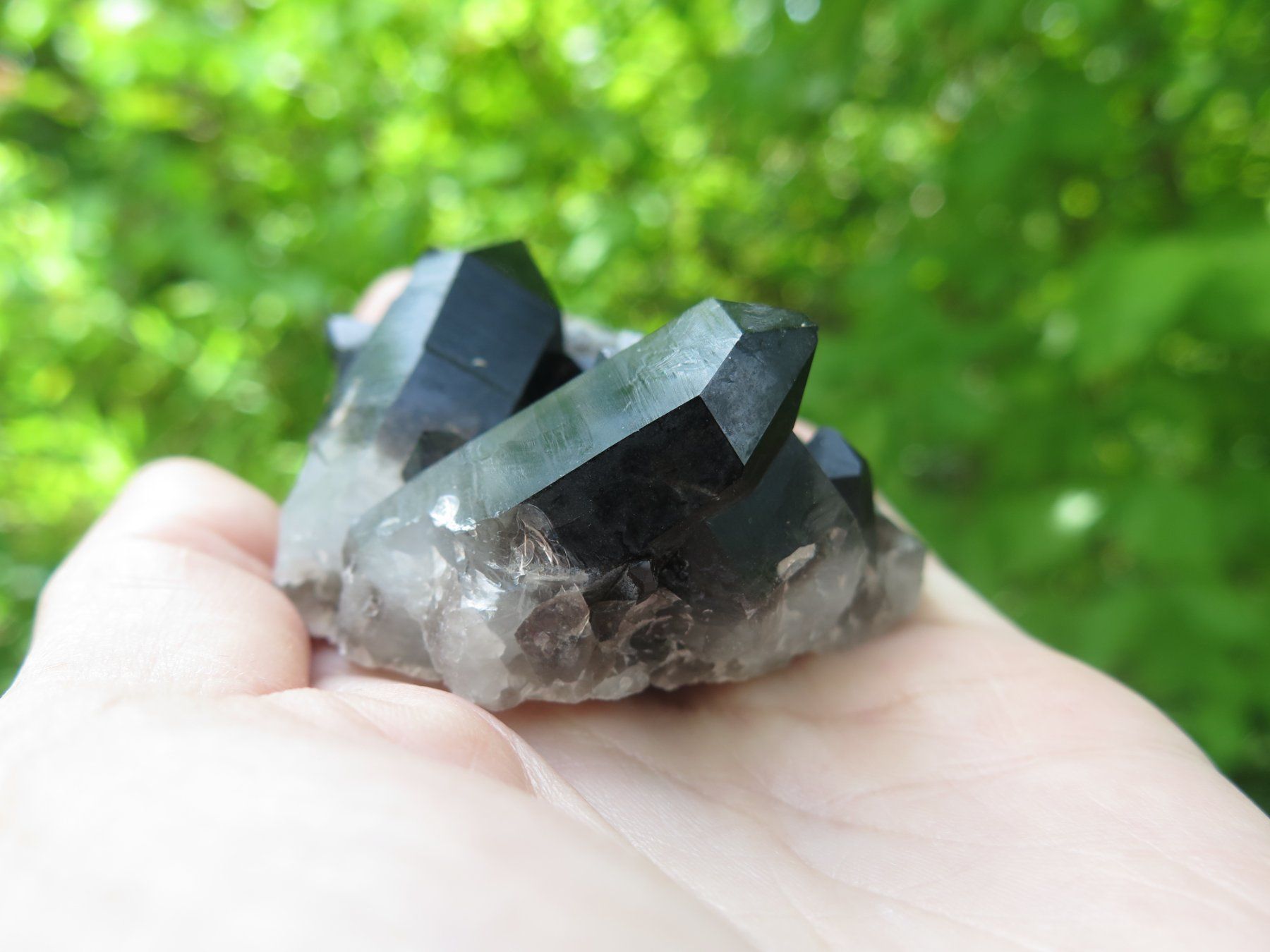 Mineralien & Heilsteine: Rauchquarz "Morion" von USA – Gebraucht aus Schaffhausen von Yamakana51L8736OQ8 4