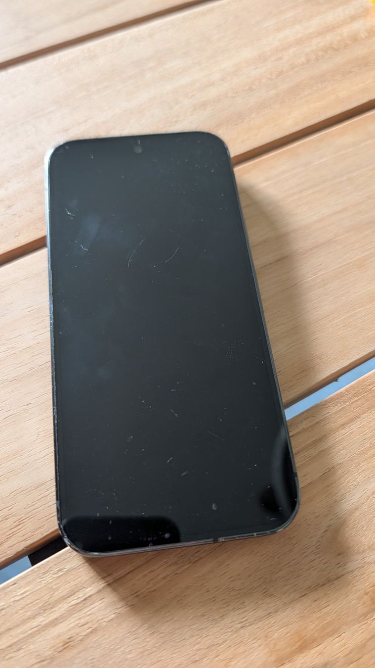 Google Telefoni cellulari / Smartphones: Pixel 9 Pro - 256 GB – Usato da Adligenswil venduto da LaLaLand