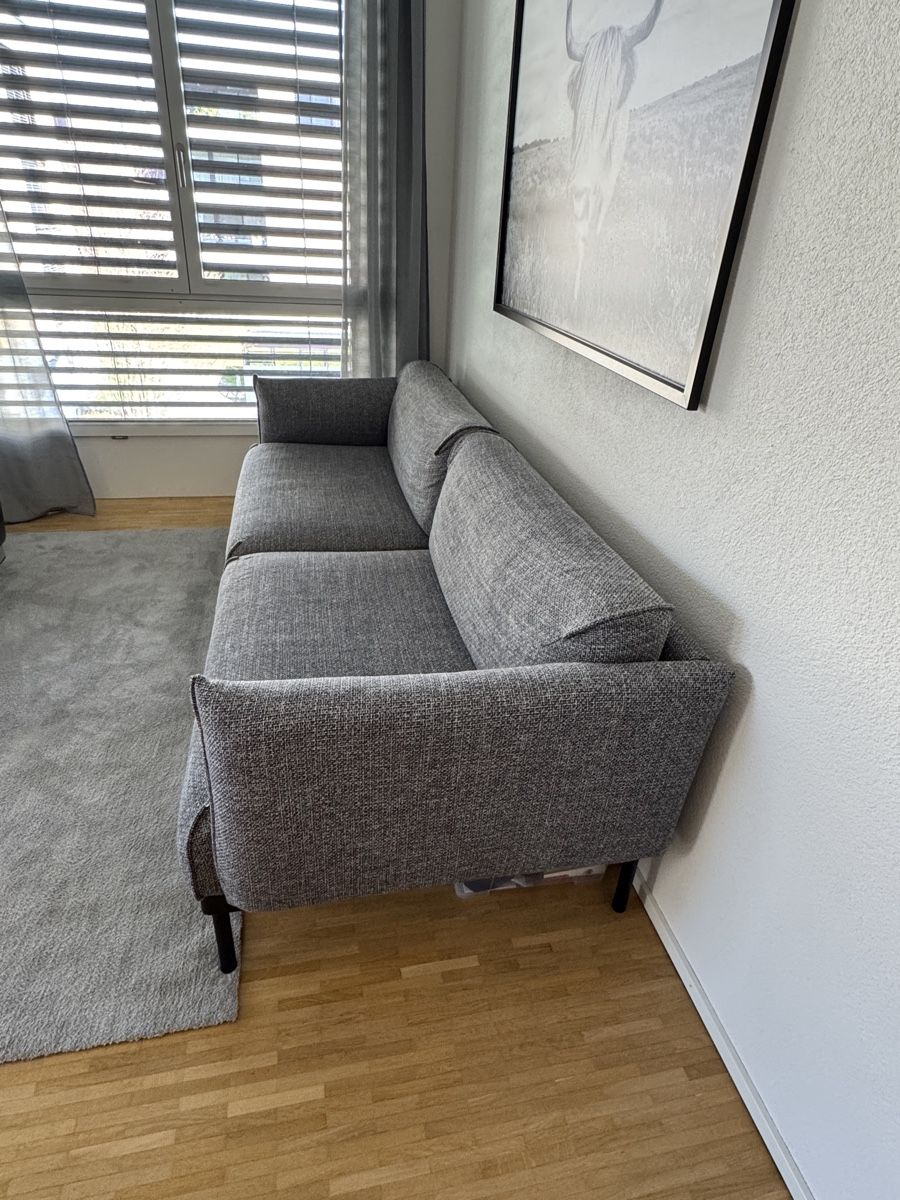 Ikea Divani: Sofa – Usato da Muri AG venduto da seb_fl9j 4