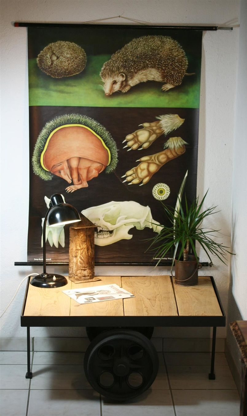 Posters & Illustrations: Schulwandbild "Igel" 1963 – D'occasion à Birrwil par brandschatz_birrwil