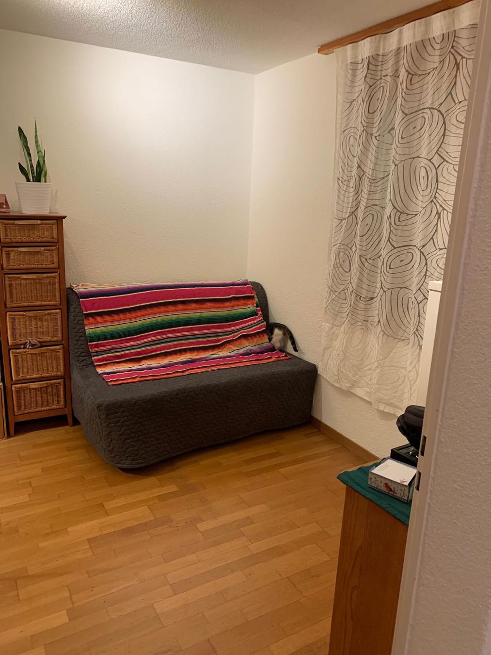 Ikea Divani: Bettsofa Schlafsofa Lattenrost IKEA LYCKSELE MURBO Bett – Usato da Steffisburg venduto da smocky17 6
