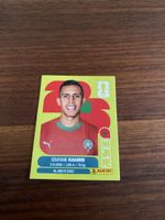 Panini Mar 18