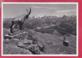 ST.MORITZ, LUFTSEILBAHN CORVIGLIA - PIZ NAIR 3057m