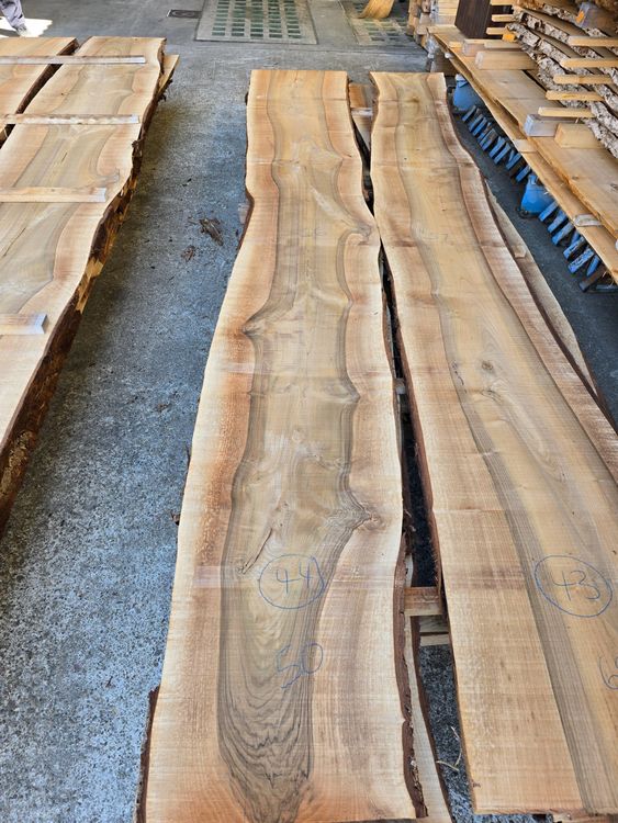 Articoli in legno: Nussbaumbrett Nr.44 – Nuovo (secondo la descrizione) da Lützelflüh-Goldb venduto da Waelchris