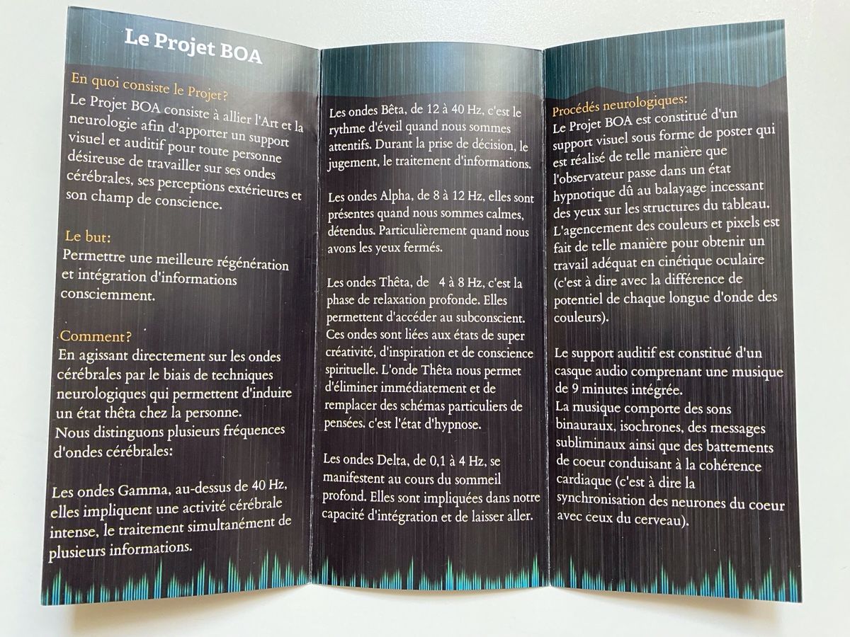 CD: Boa Project, programme entérique carte mini SD – Nuovo (secondo la descrizione) da Le Noirmont venduto da Fanny_ 3