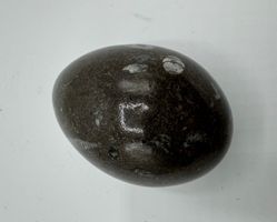 Versteinerung
