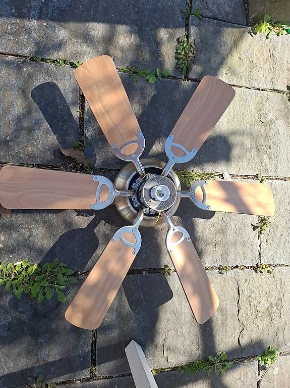 Ventilatori: Deckenfentilatoren – Usato da Zofingen venduto da Jgeco