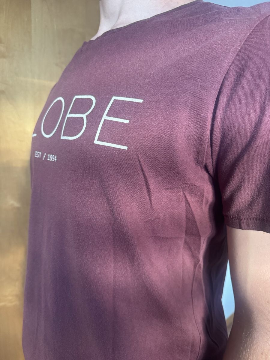 T-shirt: Globe T-Shirt in Grösse L – Usato da Zeglingen venduto da nor_6sjq 7
