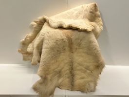 echtes Rentier Fell ca. 140cm L x 100cm B ab 1.-