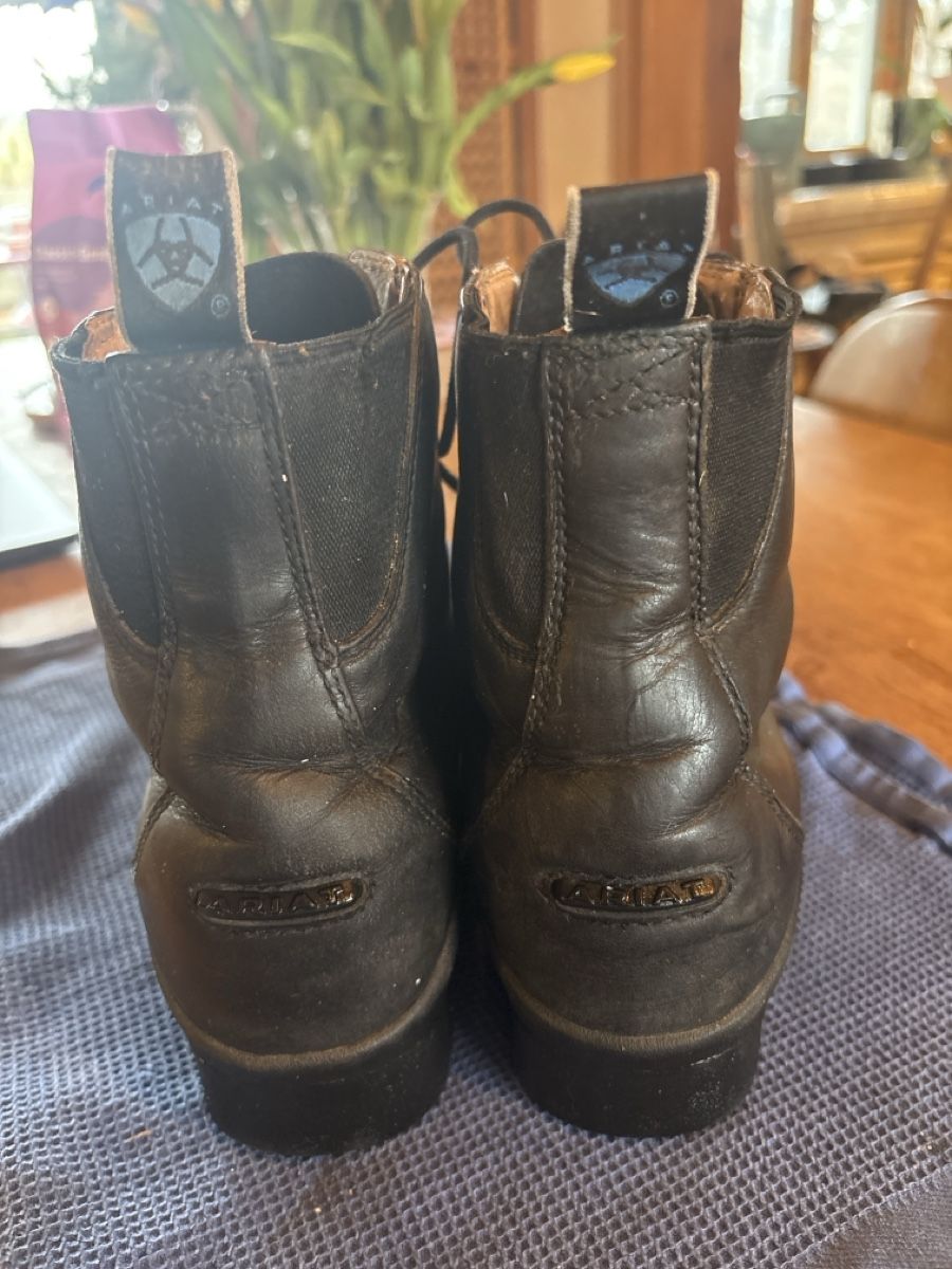 Ariat Scarpe da donna: Ariat Reitstiefeletten Gr. 39 – Usato da Zofingen venduto da Rodeln 1